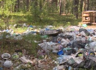 В Пензе состоится акция по уборке берега Сурского водохранилища