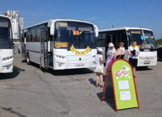 Более 120 пензенских детей отправились в лагеря бесплатно