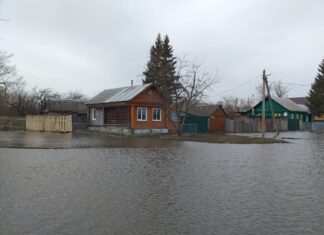 Почти 120 жилых домов подтоплено паводком в Нижнеломовском районе