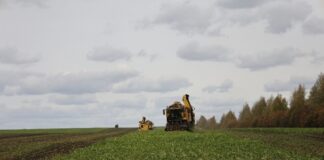 Пензенские аграрии собрали рекордный урожай сахарной свеклы