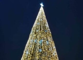 Глава Заречного исполнил желания трех детей из одной семьи