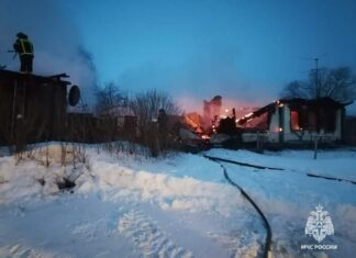 Утром при пожаре в Каменском районе погиб мужчина