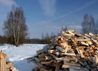 Пензенские лесозаготовители ежемесячно отправляют дрова для участников СВО