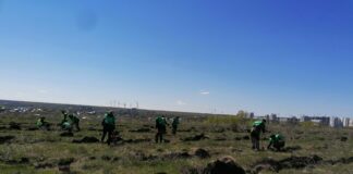 Пензенцам рассказали, когда стартует акция «Сад памяти»