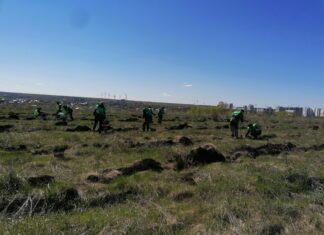Пензенцам рассказали, когда стартует акция «Сад памяти»
