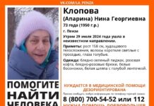 В Пензе начались поиски 73-летней Нины Клоповой