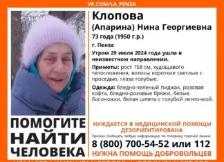 В Пензе начались поиски 73-летней Нины Клоповой