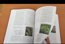 В Пензе переиздали первый том Красной книги области