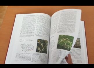 В Пензе переиздали первый том Красной книги области