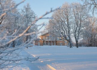 В 2023 году в пензенских «Тарханах» побывали более 300 тысяч человек