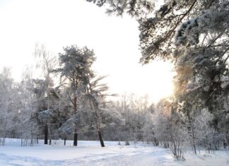В Пензенской области создано более 90 особо охраняемых природных территорий
