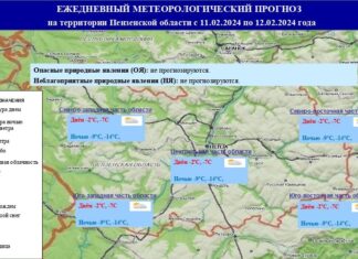 В МЧС по Пензенской области исключили ночные морозы