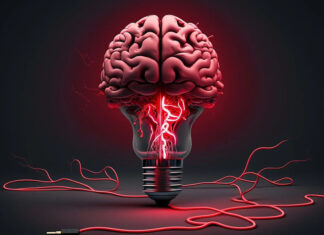 Что мы знаем о мозге