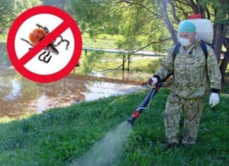 Олимпийскую аллею в Пензе закроют для посещения