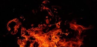 В Пензенской области сгорело порядка 1 гектара сухой травы