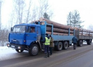 В Пензенской области начался рейд по незаконной заготовке древесины