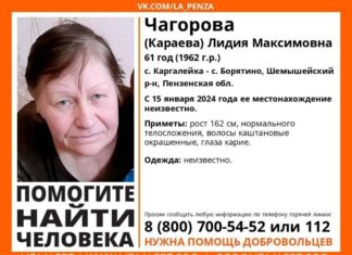 С 15 января в Шемышейском районе ищут 61-летнюю Лидию Чагорову