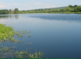 В Пензенской области ищут альтернативные источники водоснабжения