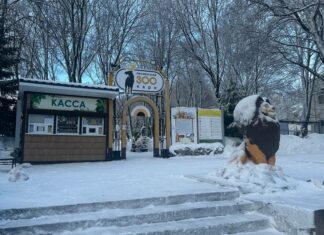 Пензенцы узнали, когда появится жираф в зоопарке