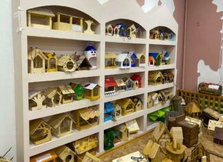 Пензенские школьники сделали более 420 скворечников