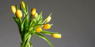 С 5 марта в Пензе начнут работать цветочные ярмарки