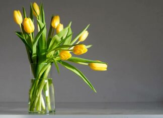 С 5 марта в Пензе начнут работать цветочные ярмарки