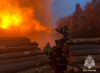 В Пензе 35 человек тушили загоревшиеся пиломатериалы