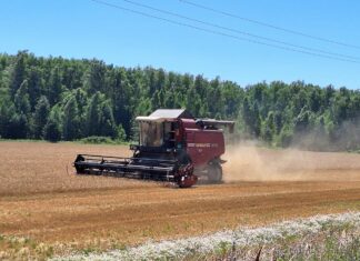 Пензенские аграрии собрали почти 190 тыс. тонн зерна