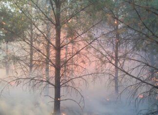 В Пензенской области стартовал пожароопасный сезон