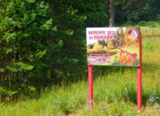 В Пензенской области могут ввести особый противопожарный режим