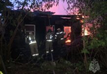 В Пензенской области за неделю ликвидировали 46 пожаров