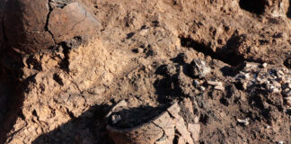 Пензенские археологи продолжат изучать территорию города