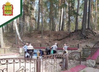 Пензенские лесничие благоустраивают родники