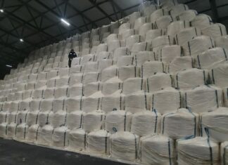 За два месяца в Пензенской области произвели 35 тыс. тонн сахара