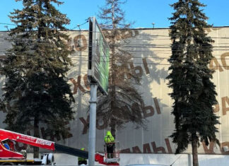 По жалобам пензенцев спиливают сухие ели у ТЦ на улице Суворова