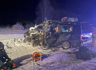 В ДТП с грузовиком на трассе М5 в Пензенской области погибли семь человек и двое пострадали