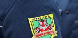 Во всех районах Пензенской области сформированы отряды «Тигр»