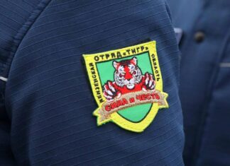 Во всех районах Пензенской области сформированы отряды «Тигр»